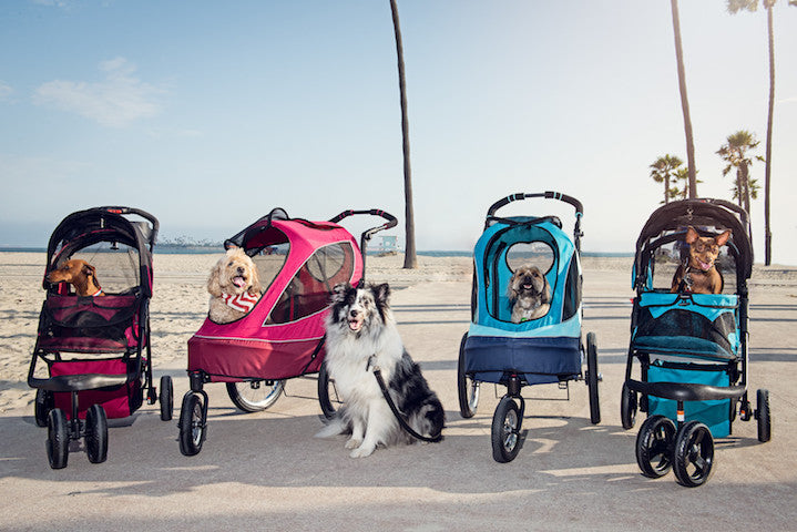 Petique’s Travel System For Your Pets - What Are The Benefits