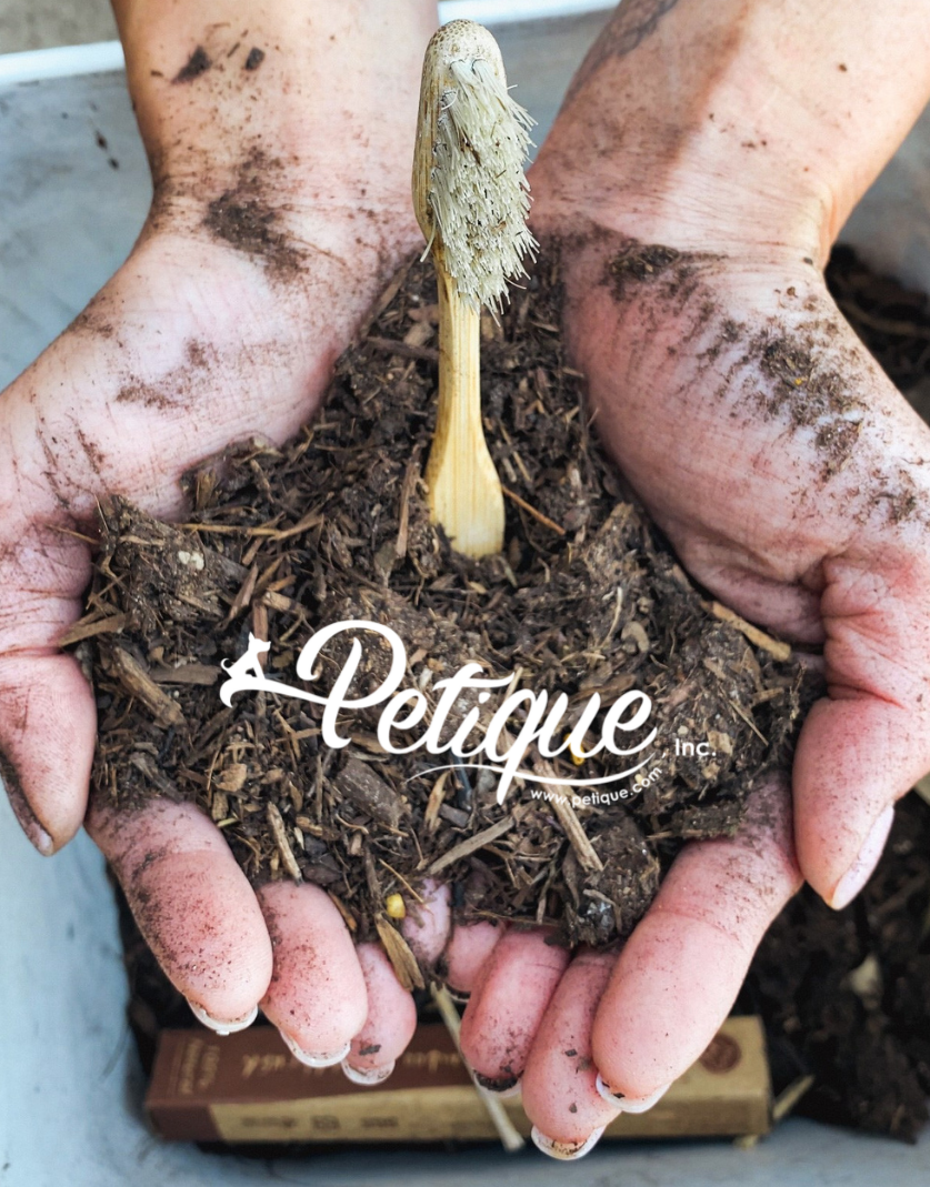 compostable pet toothbrush