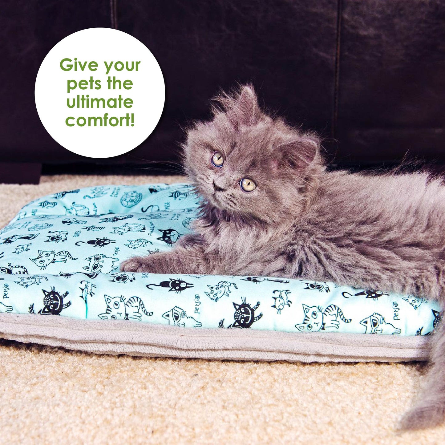 pet bed for cats and dogs