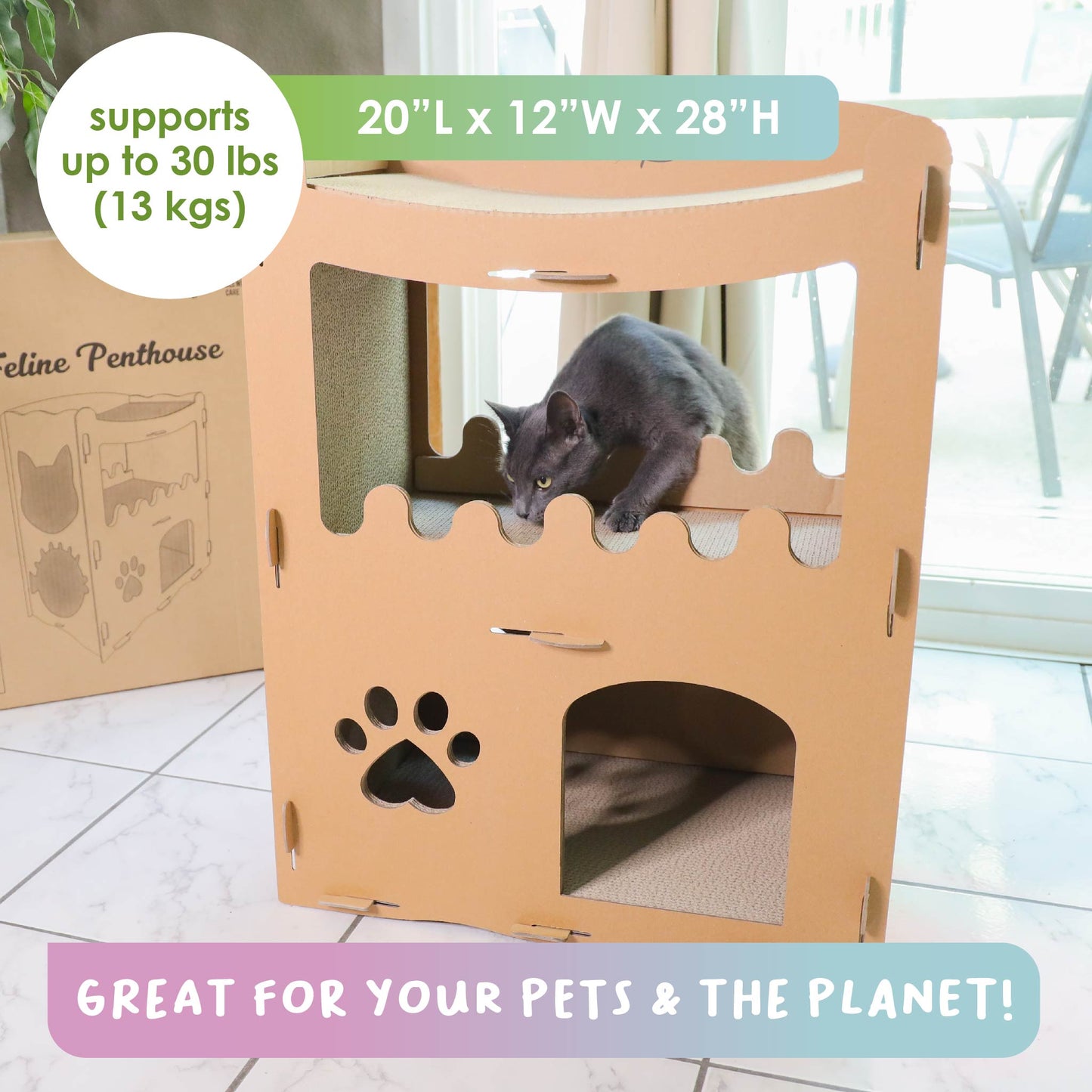 cardboard cat house petique