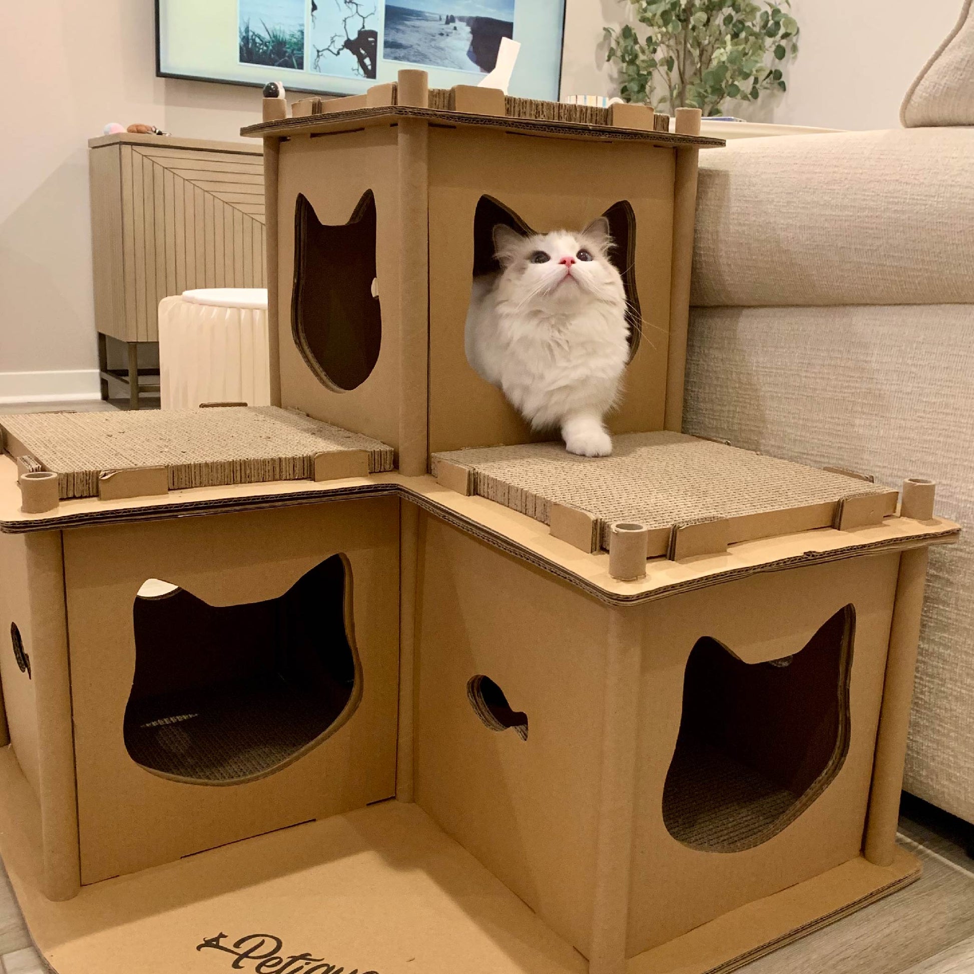 fluffy white cat in feline fortress cat house