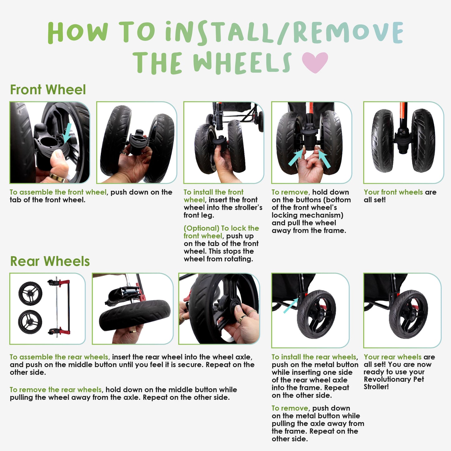 Revolutionary Pet Travel Bundle