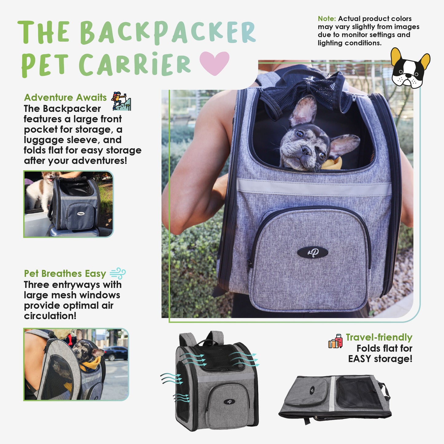 the backpacker pet carrier