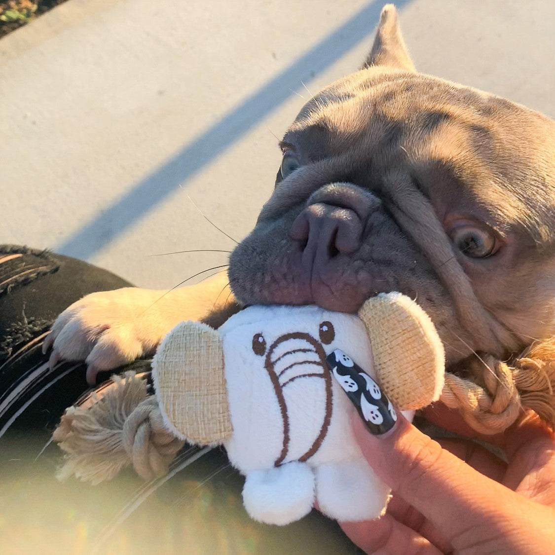 Mini Hemp Chunky Monkey and Elephant Dog Toys: Fun Squeaker & Hemp Rope, Stimulates Mentally & Physically, Cute Block Head with Squeaker, Tough Hemp for Chewing & Fetching, Non-Toxic, Cleans Teeth, for Pets