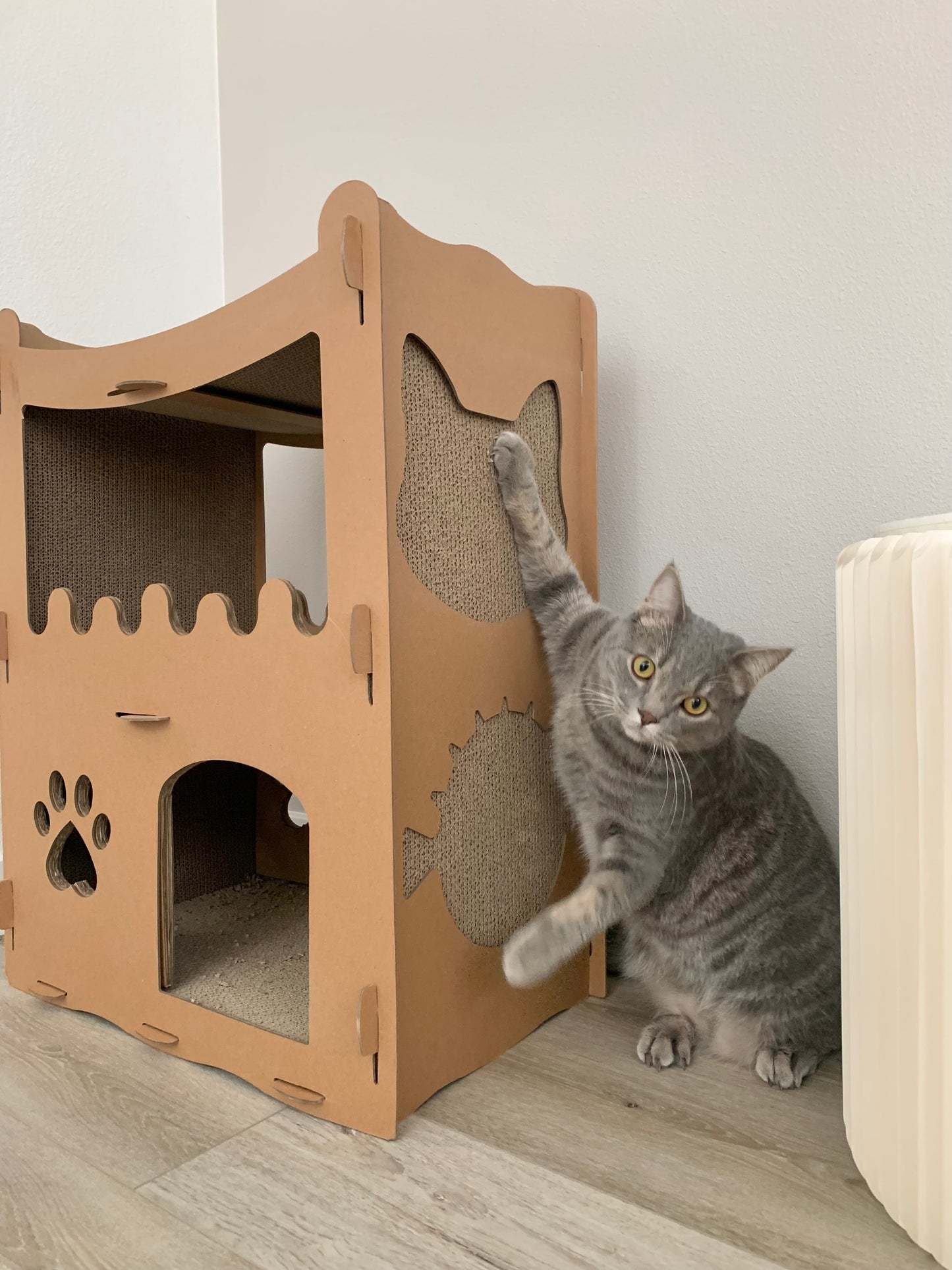 cat house with scratch boards