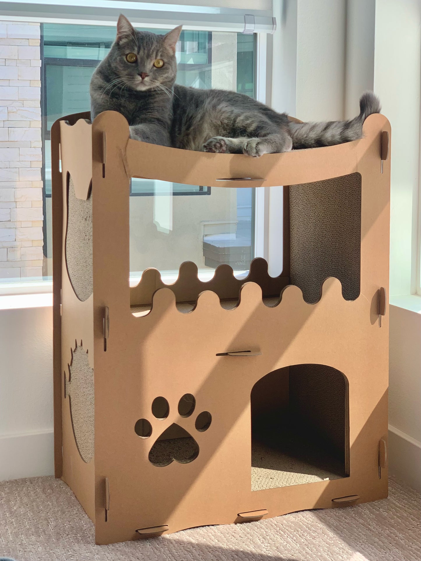 Feline Penthouse Cat House