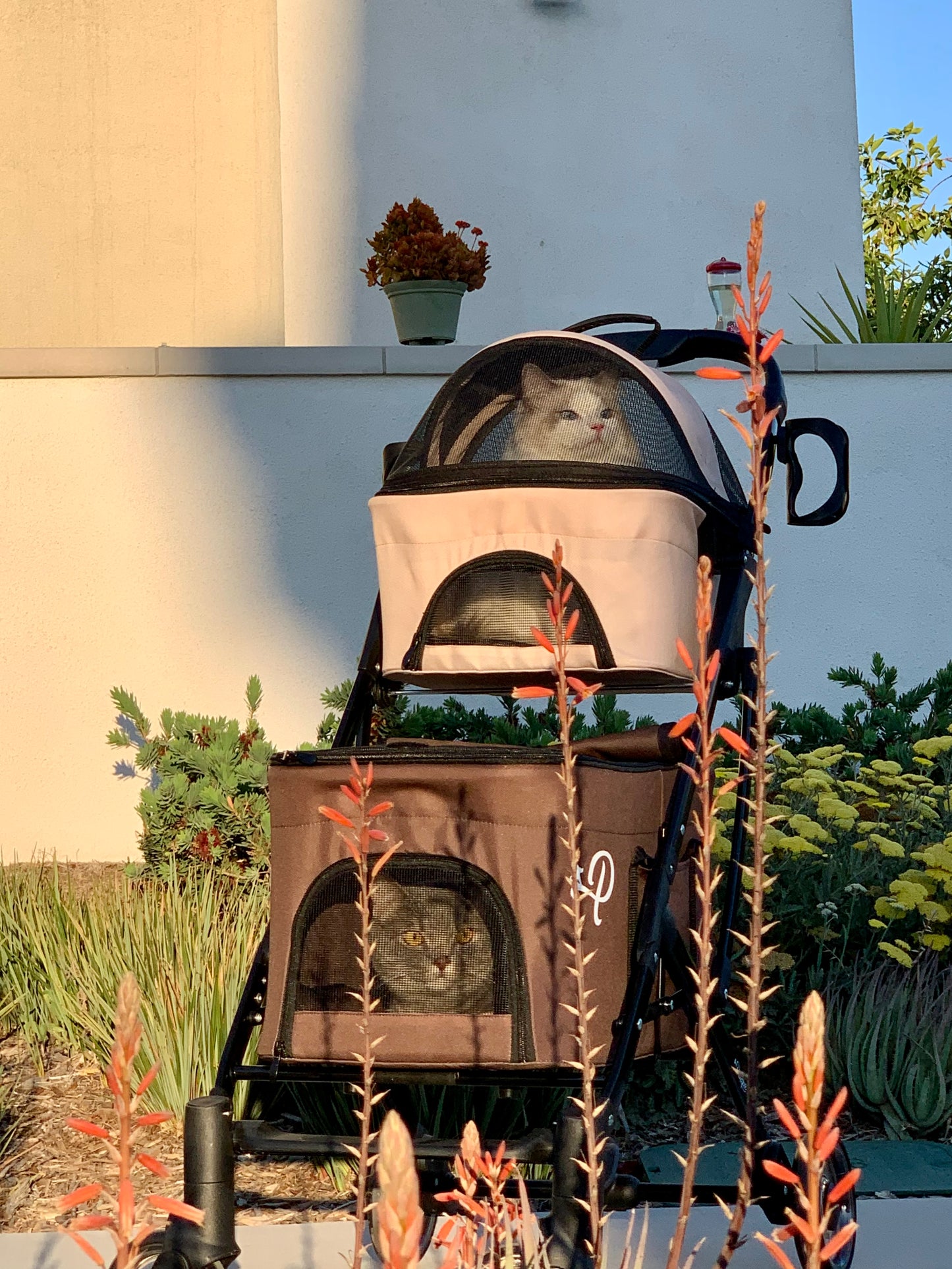 deluxe double decker pet stroller brown for cats