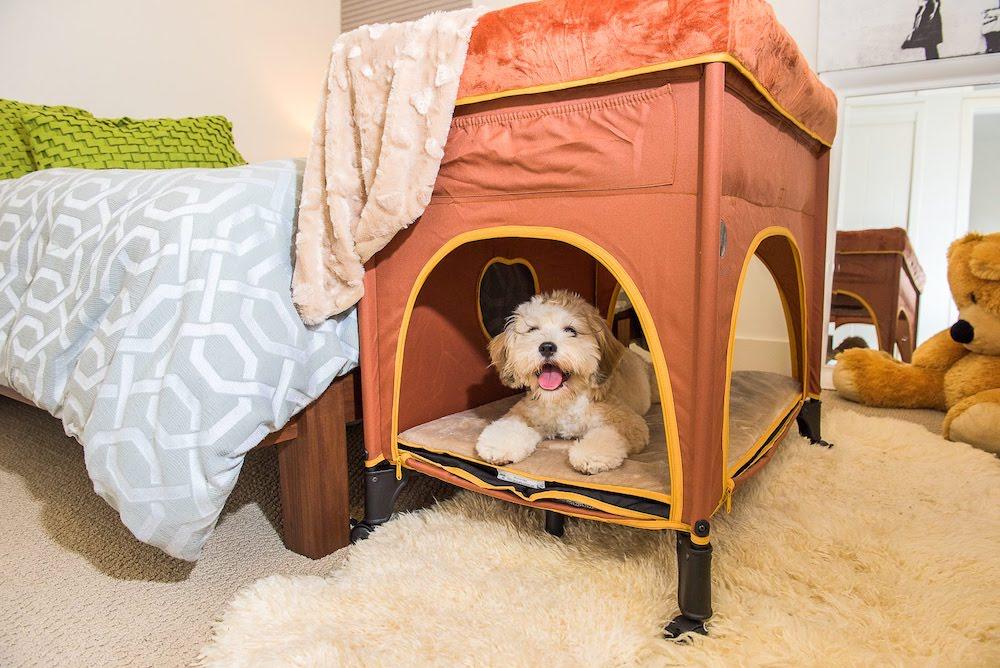 orange pet crib