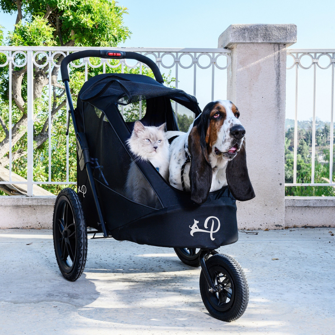 Pet Jogger