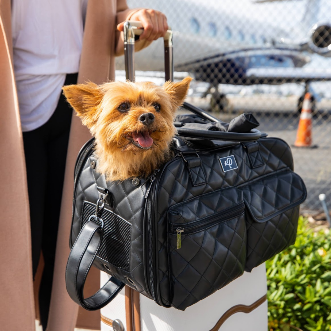 Pet Stroller / Carrier Tote : Faux : Louis Vuitton : Dog / Cat / Pet :  Brand New