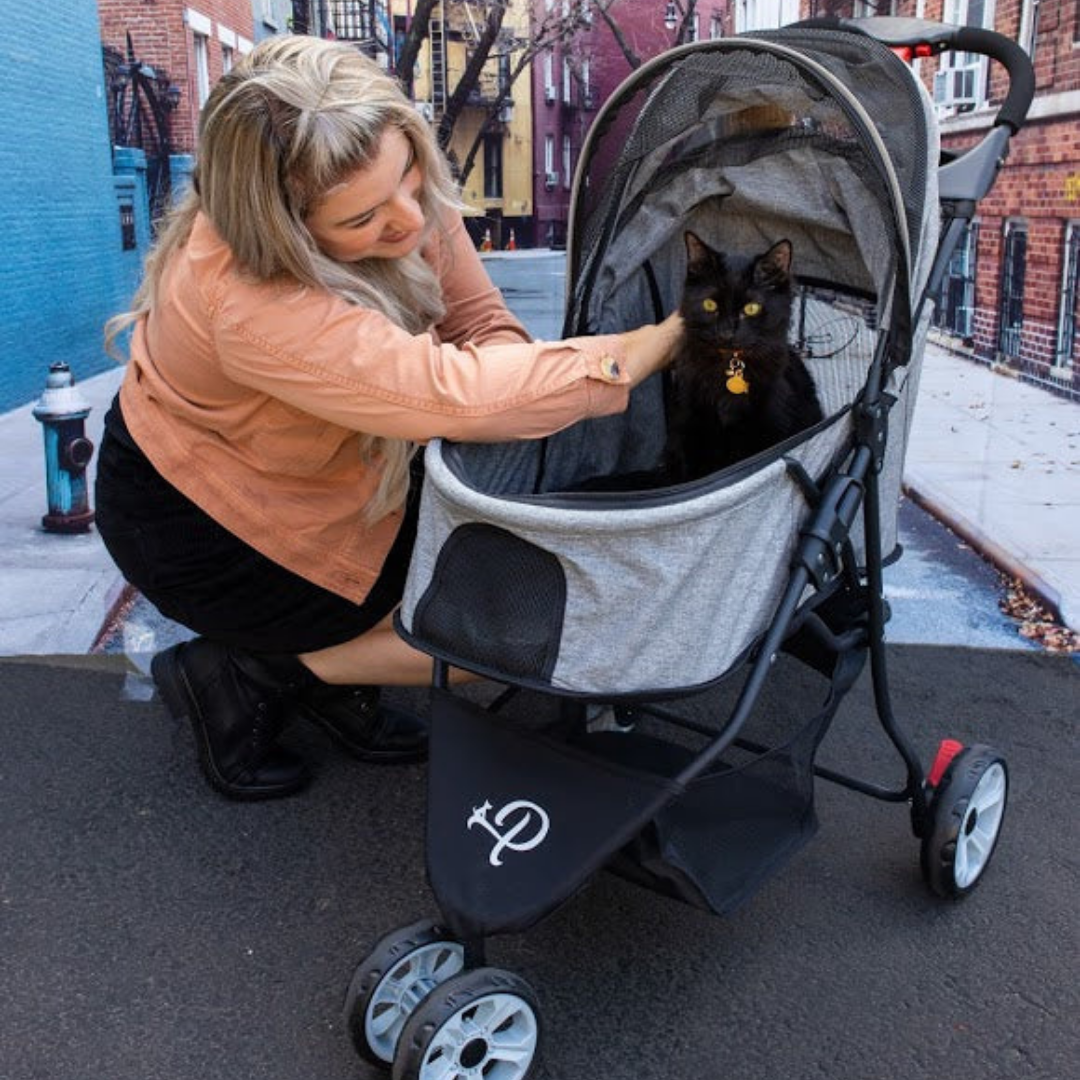 glacier pet stroller for cats