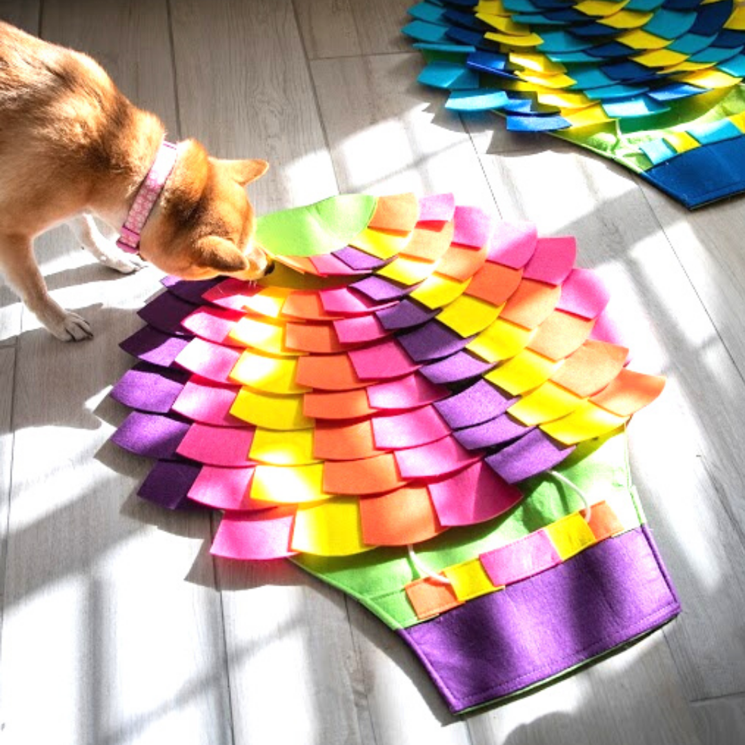 dog enrichment