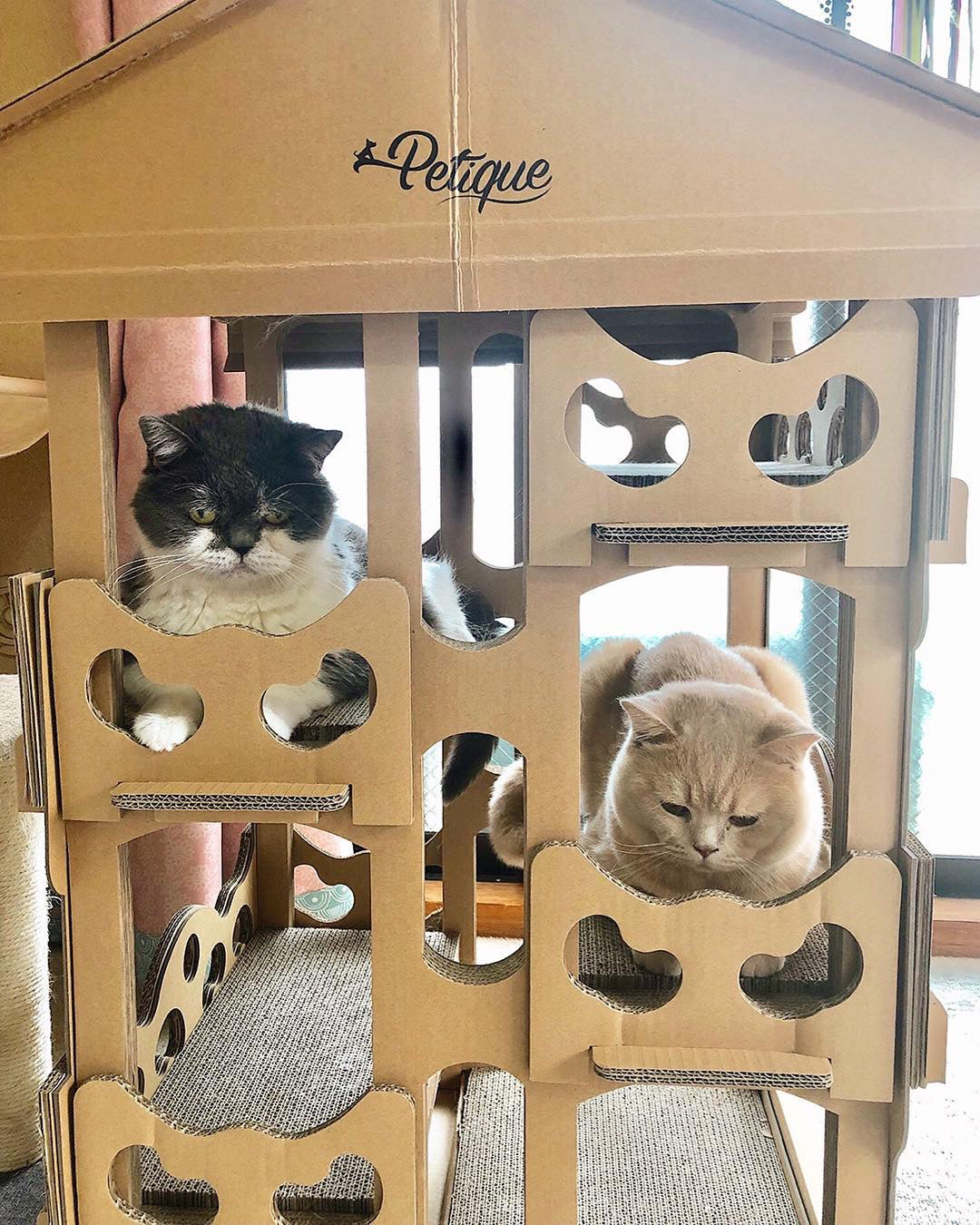 feline chateau