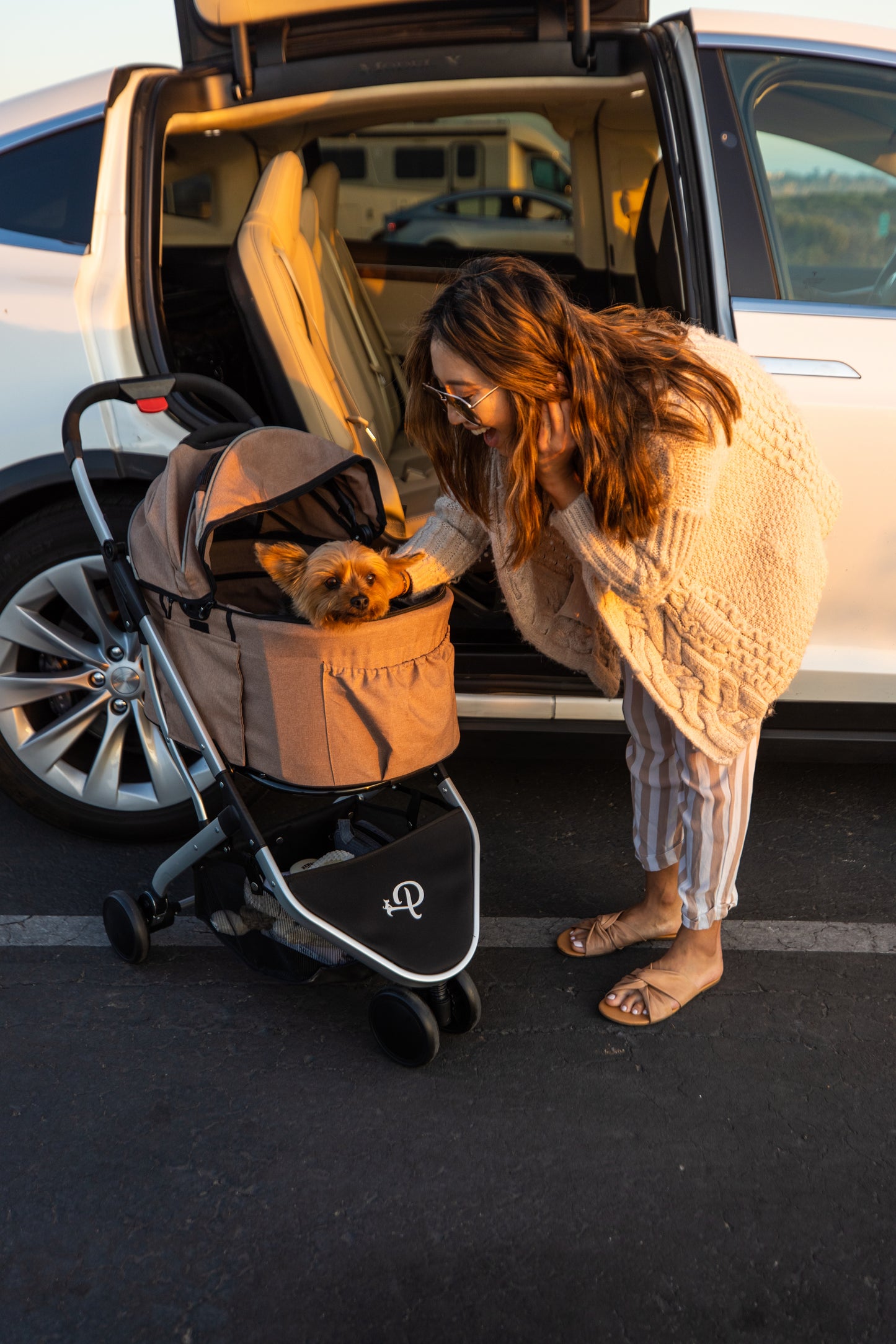 yorkie dog in desert rose pet stroller