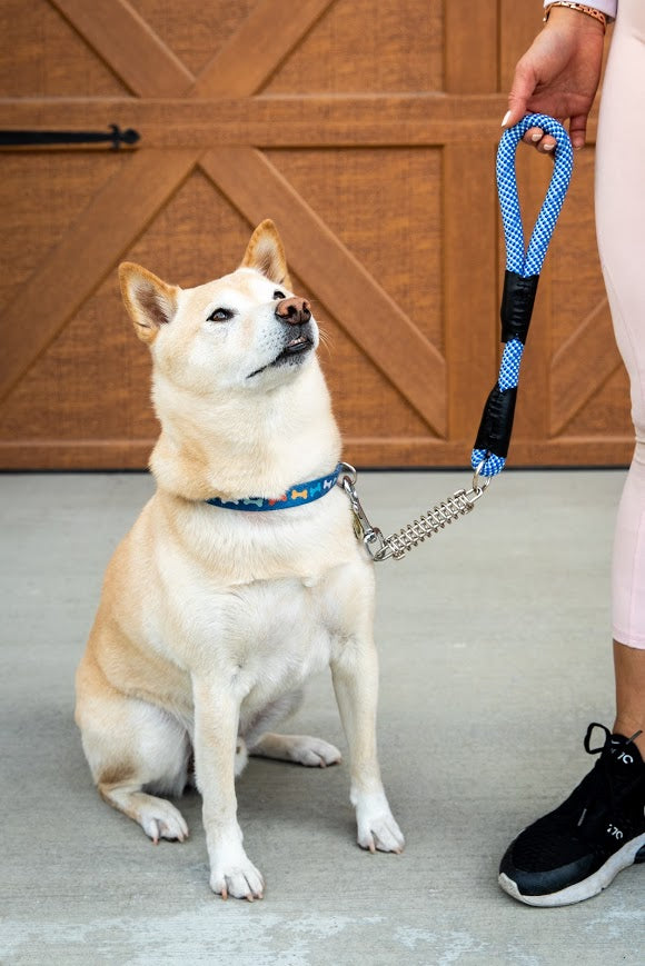 Petique Leash