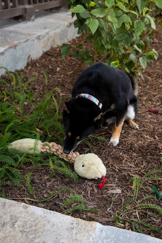 Tough Pet Toy 