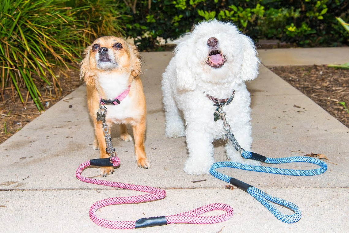 Pet Leashes