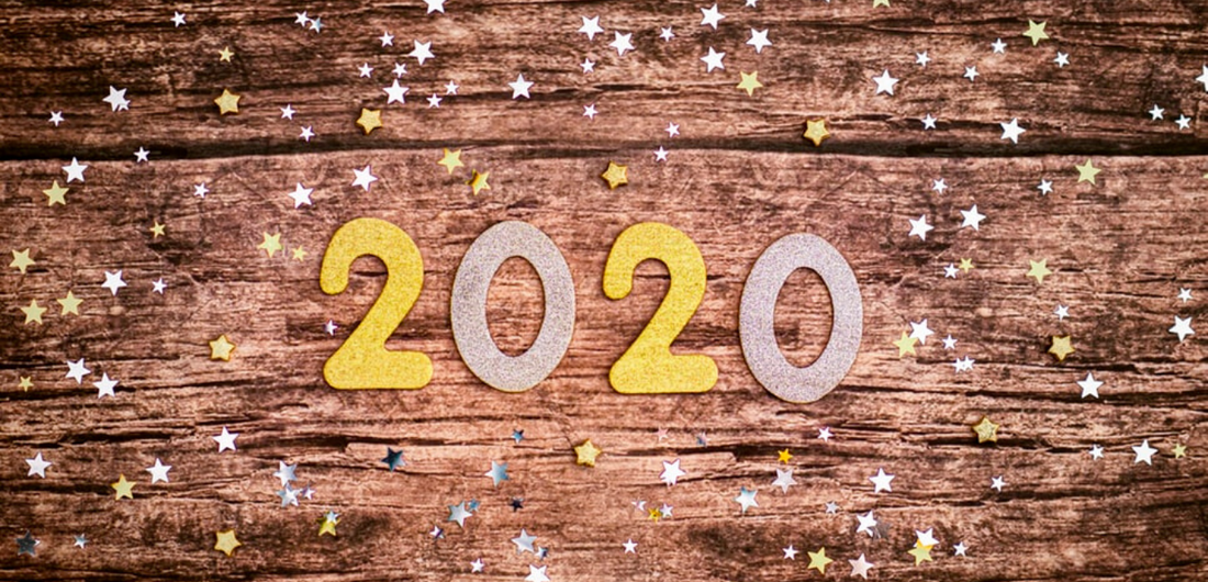 4 Important New Year’s Resolutions for Your Pets