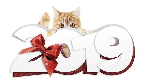 10 New Year’s Resolutions for Your Pets