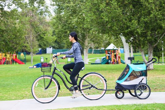 How Air Pollution and Mental Health Go Hand In Hand - Protecting Our Pets and Planet, One Stroll At A Time