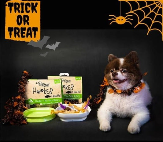 Healthy Treats for Dogs and Cats This Halloween