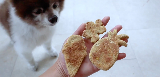 Easy Homemade Tropical Pineapple and Oat Dog Treat Recipe
