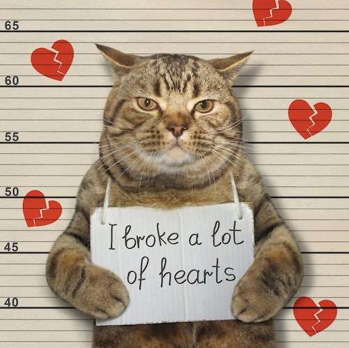 4 Ways to Love Your Pet this Valentine’s Day (& Always)