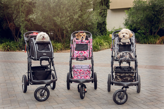Petique's Award Winning 5-in-1 Pet Stroller