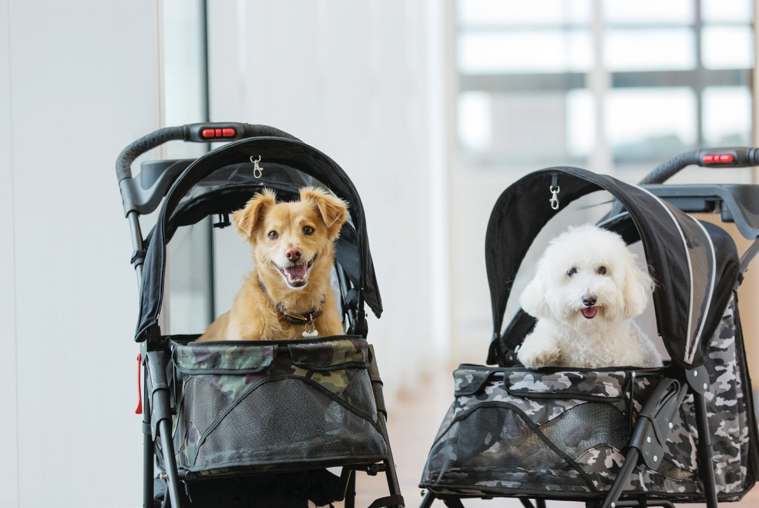 Petique Unveils the Modern Black and Green Camo Strollers for Your Pet's Luxury Experience