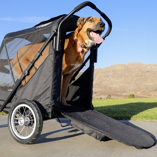 The Ultimate Ride for Large Dogs Up To 133lbs: Petique's Apollo Elite Pet Stroller