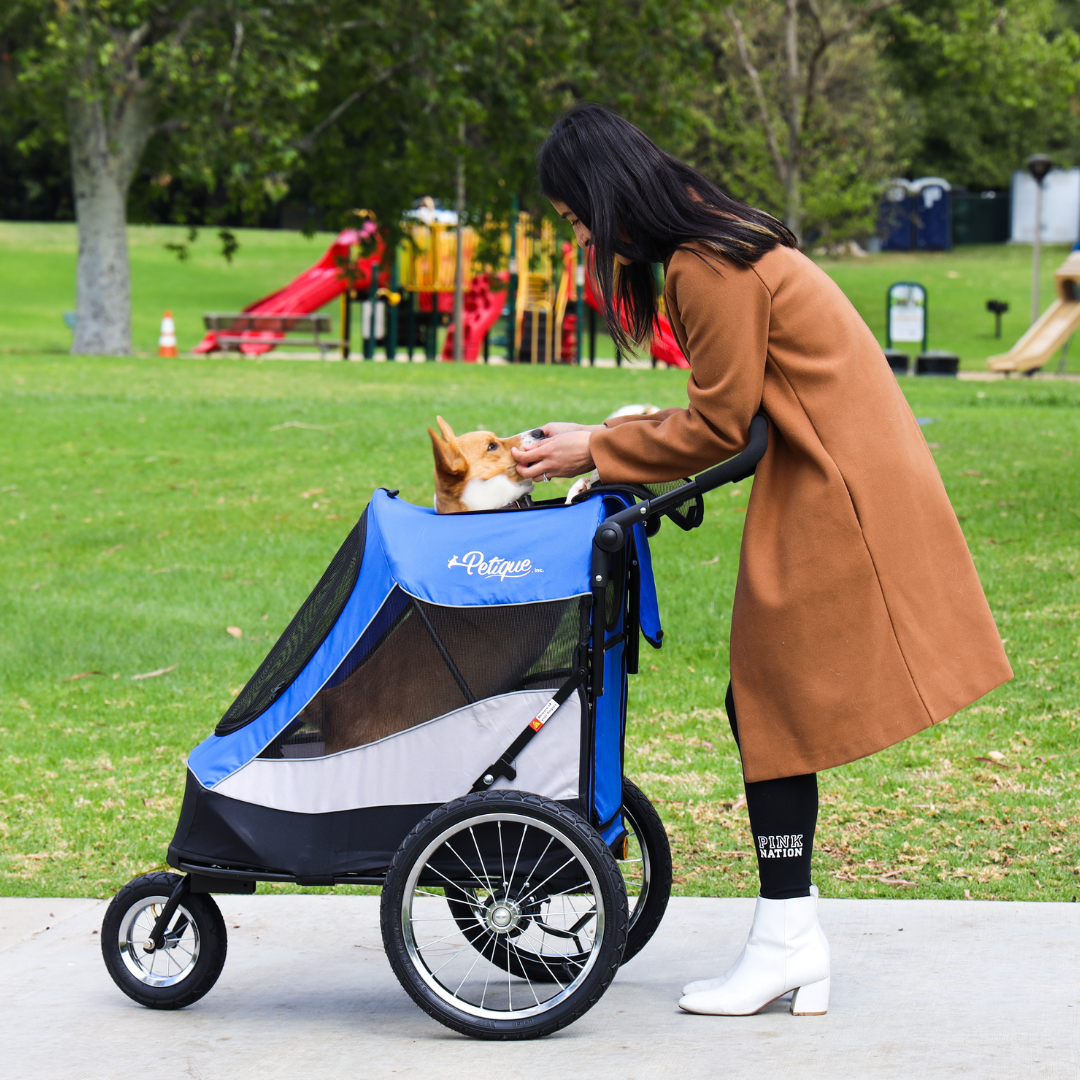 Bring your furry friend along for the ride with Petique's Trailblazer Pet Jogger Stroller