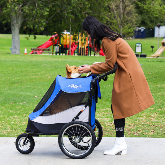 Bring your furry friend along for the ride with Petique's Trailblazer Pet Jogger Stroller