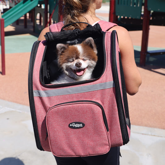 The Hidden Dangers of Vertical Style Dog Backpacks: A Safer Alternative with Petique's Backpacker Pet Carrier