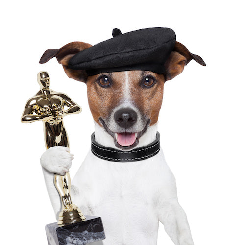 Meet Mr. Famous and a Few of His Fellow Famous Fur Friends