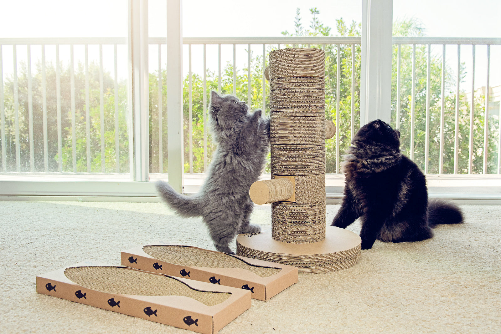 The Best Scratching Post You Can Buy: Kung Fu Paw – Petique, Inc.