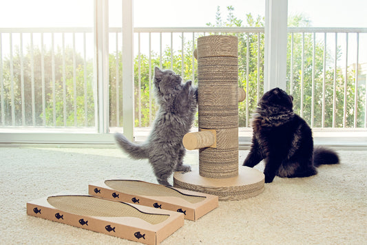 The Best Scratching Post You Can Buy: Kung Fu Paw