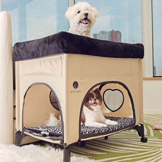 5 Reasons Why Pet Parents Need Petique's Bedside Lounge Pet Bed