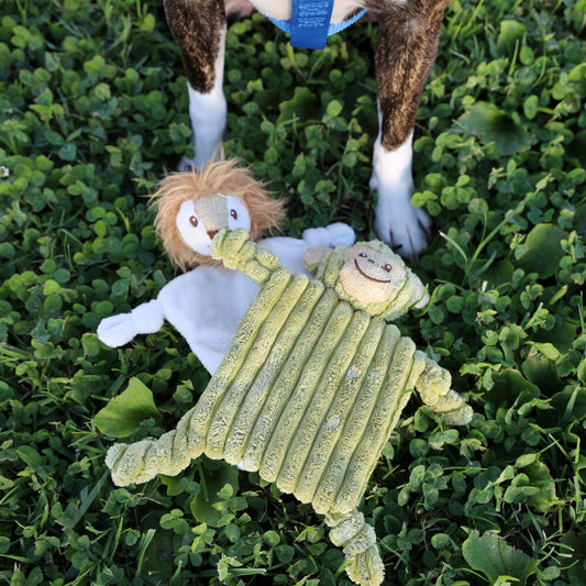 Unlocking the Potential: The Benefits of Petique's Hemp Dog Toys