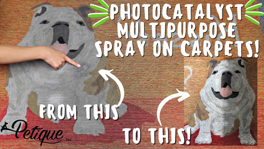 How To Use Petique's Photocatalyst Multipurpose Odor Eliminator!
