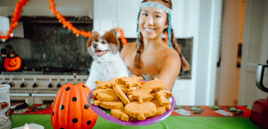 Halloween Pumpkin Dog Treat Recipe - ONLY 4 Ingredients