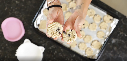 Homemade Cranberry Cookie Dog Treat Recipe