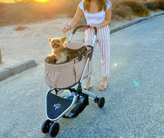 happy yorkie in tan pet stroller