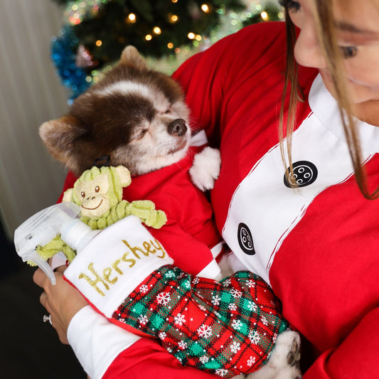 Holiday Gift Guide For The Dog and Dog Lover That Has EVERYTHING