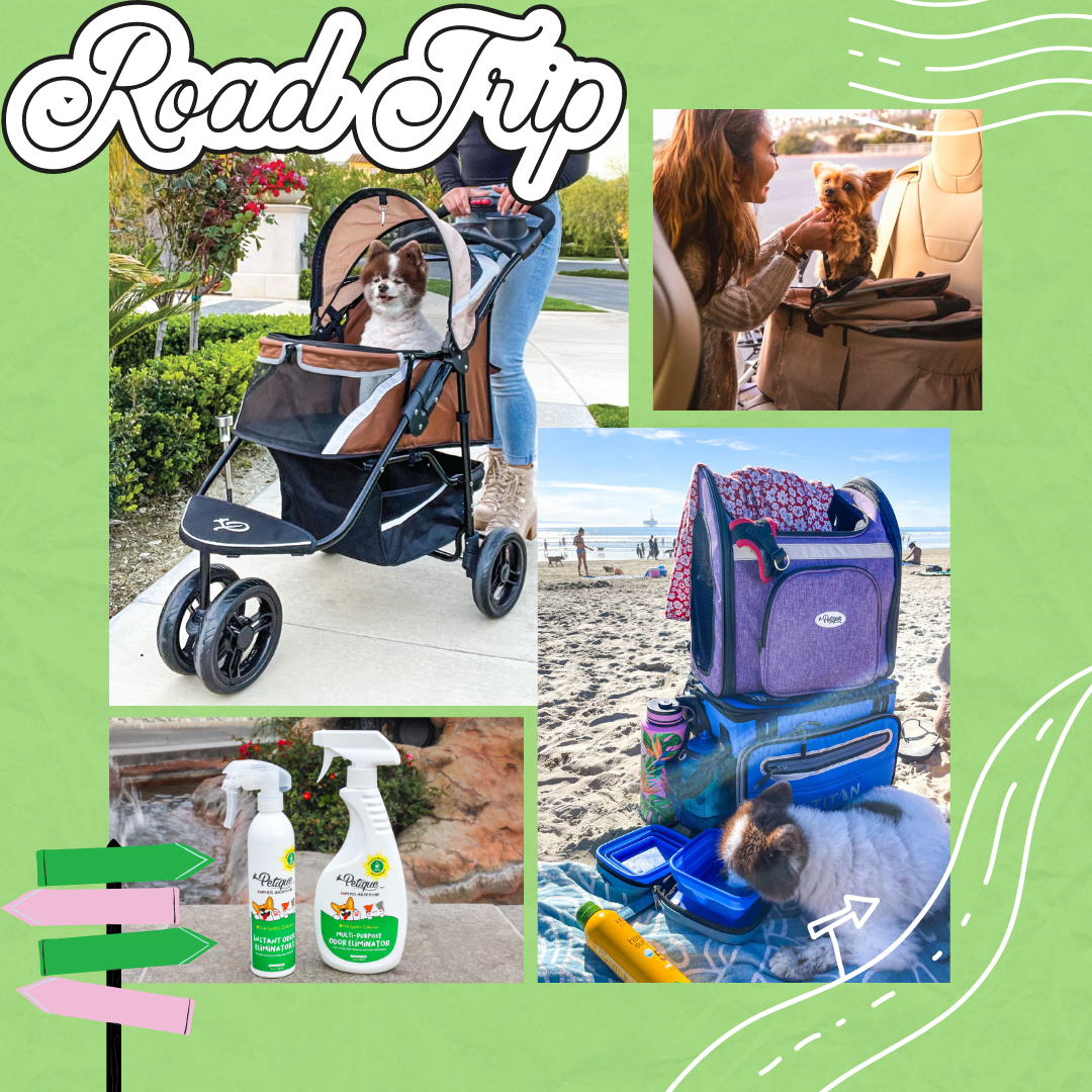 5 Things You Absolutely Need For A Road Trip With Your Pet