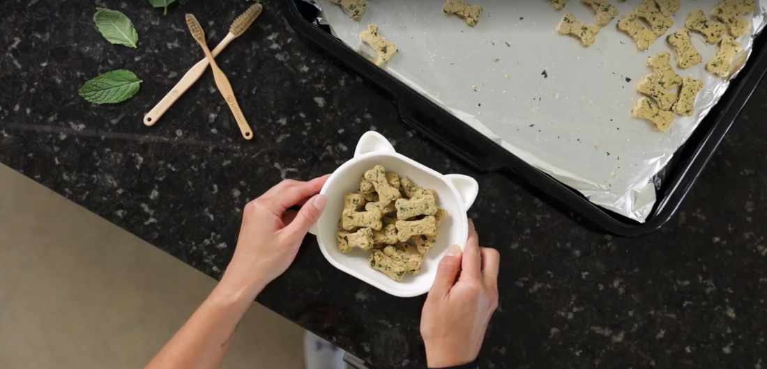 Fresh and Easy Minty Mojito Dog Treat Recipe