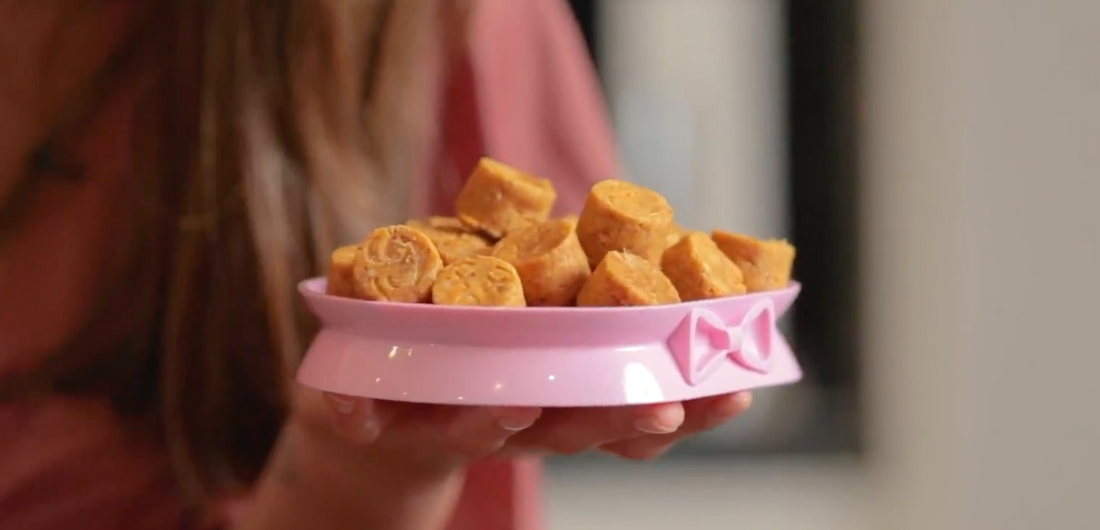 NO BAKE Peanut Butter & Sweet Potato Dog Treat Recipe