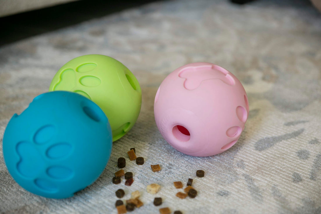 Why Are Treat Toys Important?