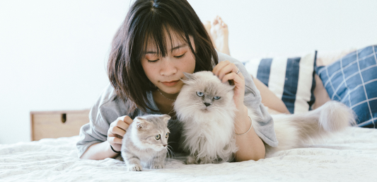 Bringing a Pet Home During the Pandemic: Your Pre-Adoption Guide