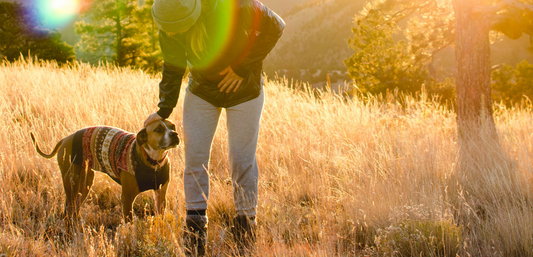 Happy Camper Pet Carrier Prevents Your Pet From Getting Bug Bites