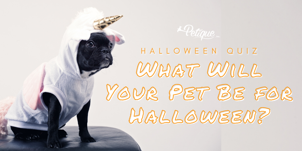 What Will Your Pet Be for Halloween?